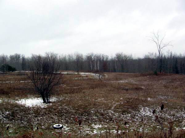West Branch Speedway (Rau and I-75) - November 2006